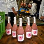 ピンク色の日本酒、今年も登場　「とちぎの星」を初めて使用　日光・渡辺佐…