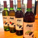 ジューンベリーと巨峰のワイン 那須661ワインヒルズ