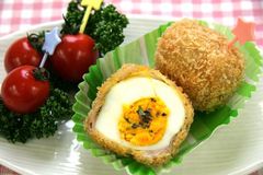 ＜豚肉のびっくりフライ＞ボリューム満点　お弁当に