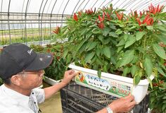 各市町、個性豊かに歓迎　「レガシー」への種まく