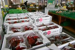 地元産を安くおいしく