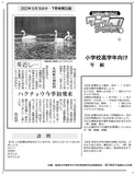 ハクチョウ今季初飛来