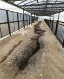 熊本地震、断層7年間ずれ