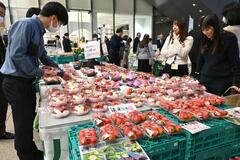 イチゴなど県産品をPR