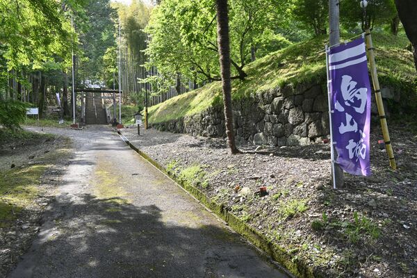 本年度、発掘調査に着手する烏山城跡「活用ゾーン」の一部