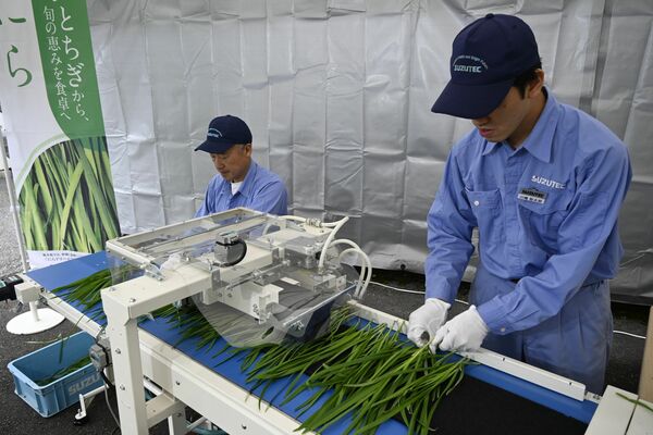 開発した「ニラそぐり機」で作業を実演するスズテック社員＝21日、宇都宮市平出工業団地