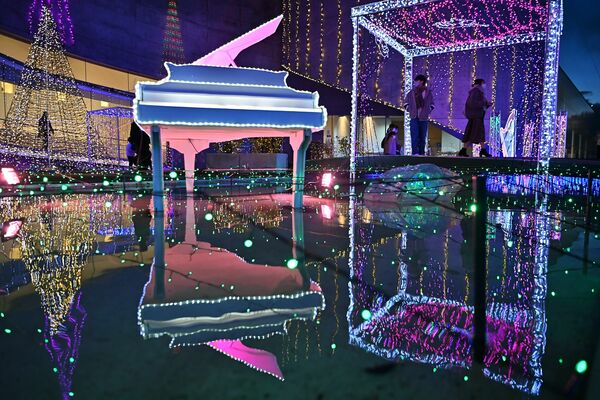 クリスマスの夜を幻想的に彩るイルミネーション＝25日午後５時、大田原市本町１丁目