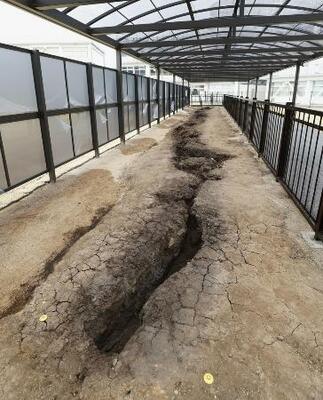 熊本地震の本震で東海大農学部キャンパス内にできた断層=2020年、熊本県南阿蘇村