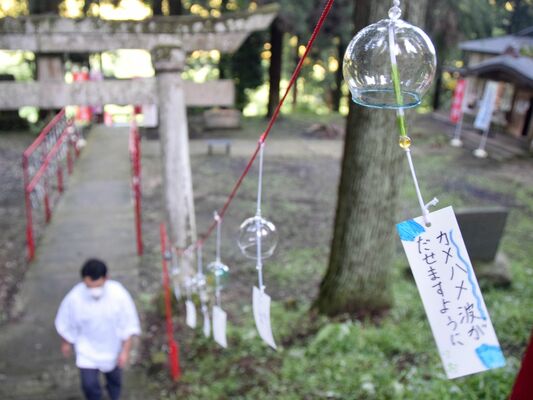 大宮温泉神社に飾られた風鈴