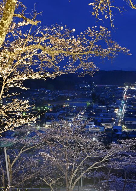 城山公園（茂木町）