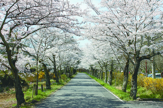 栃木市提供
