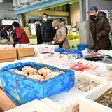 県南市場を特別開放　おせちや海産、野菜など販売　小山