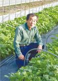 ＜182＞鍋料理に欠かせない“食べるかぜ薬”　ＪＡしおのやの春菊