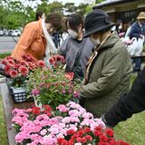 真岡で「花と緑の市」　苗木配布やコケ玉作りも　園芸ファンでにぎわう