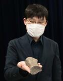 クジラの化石、新属新種と判明