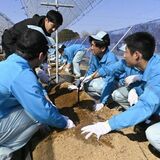 宇都宮白楊高生がブドウ苗木定植実習 ジャパンフルーツと連携プログラム