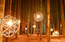 竹林の魅力、光と音で演出　宇都宮