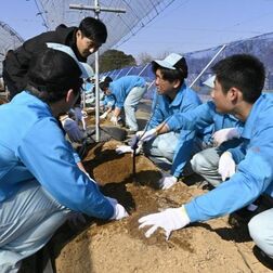 宇都宮白楊高生がブドウ苗木定植実習　ジャパンフルーツと連携プログラム