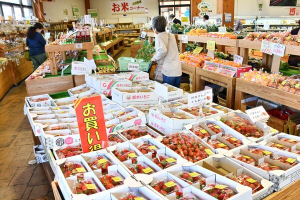 新鮮野菜がずらりと並ぶ「農産物直売館」
