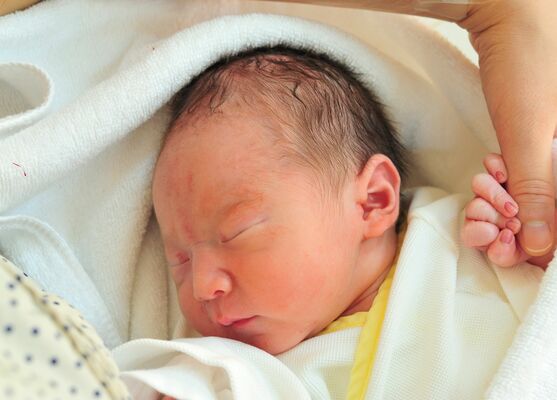 栃木県内で2025年に生まれた赤ちゃんは過去最少となった