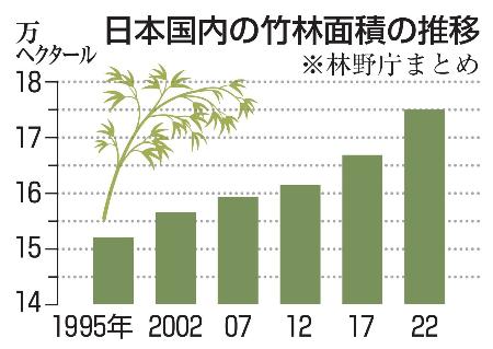 　日本国内の竹林面積の推移