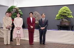 天皇ご一家、国風盆栽展を鑑賞