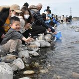 親子連れらが稚魚３万匹放流　大田原・水遊園などが「サケ放流会」