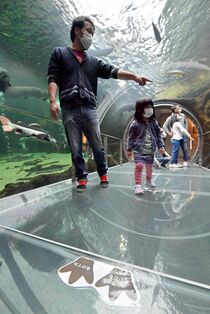 県なかがわ水遊園 休館施設の再開　大田原