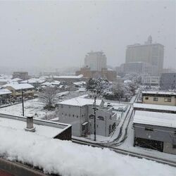 宇都宮、真岡など11市町に大雪警報