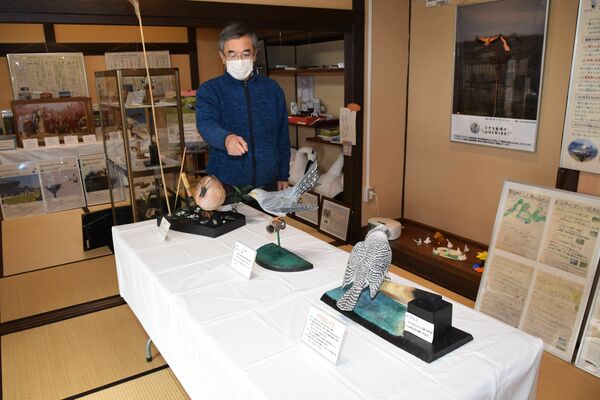 渡良瀬遊水地に生息する野鳥の特徴を細かく捉えた作品