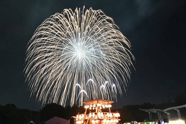 さまざまな色や形で来場者を魅了した打ち上げ花火