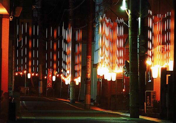 「明るさ競う年の暮れ」板垣昇（日光）