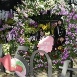 とちぎ花センターで「花と苺」フェス　県誕生150年記念で華やかに