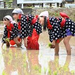 栃木・皆川地区でふれあい農業体験　親子50人が田植えやイチゴ狩り堪能