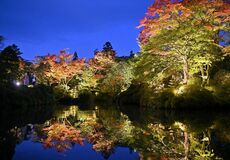 日光山輪王寺・逍遥園で紅葉ライトアップ