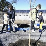 緑豊かな地域目指し植樹　市貝、来春開所の複合施設で　園児ら40人参加