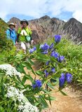 秋告げるリンドウ　那須岳