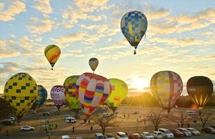 朝日を受け、次々と飛び立つ色とりどりの気球＝１日午前６時55分、栃木市藤岡町藤岡