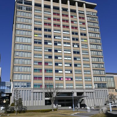 サンタクロースの帽子をかぶった乳牛の顔を表現した県庁舎=県庁