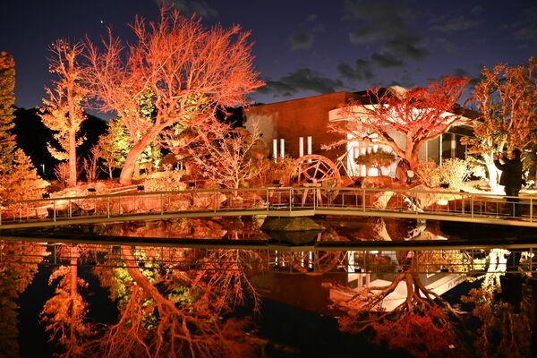 ライトアップされた田村耕一美術館の日本庭園