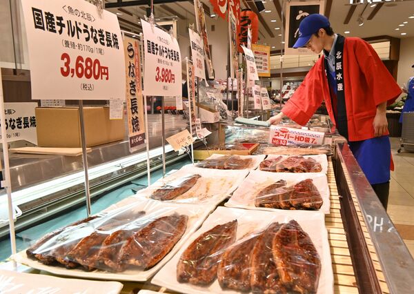 国産ウナギがずらりと並ぶ東武宇都宮百貨店の売り場＝18日午前、宇都宮市宮園町
