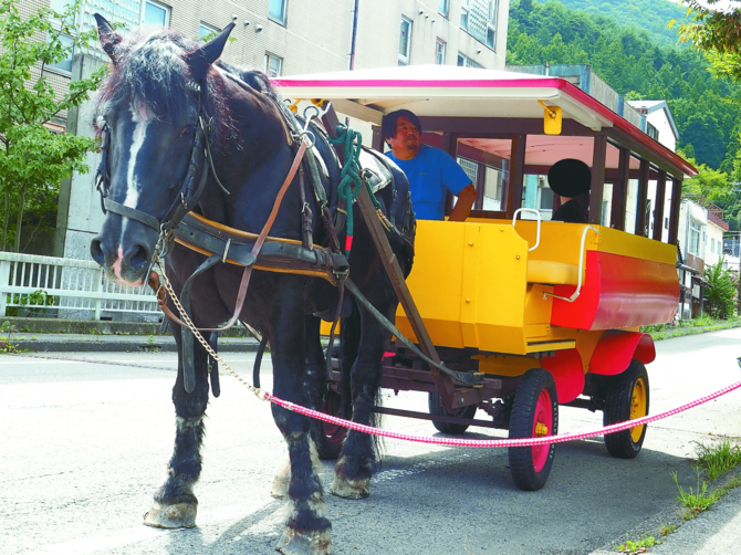 力強く馬車を引く蓮くん