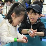 小山駅西口・ロブレで「動物ふれあい体験会」　ヤギやカメなど50匹、子ど…