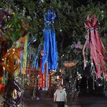 夜の境内彩る七夕飾り　佐野・浅間神社でライトアップ　短冊や輪飾り、色鮮…