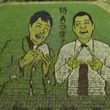 テーマは「おむすび」、Ｕ字工事の２人を表現　那須塩原で田んぼアート公開
