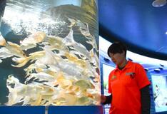 命の大切さ伝える展示