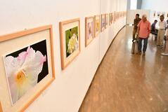 風景や花など 力作３８点展示