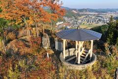 城山から敵機を見張る