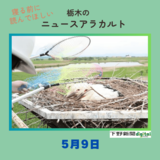 5月9日の栃木県内ニュース　「コウノトリのひな３羽に足輪装着『すくすく育って元気』」など３本をお届けします