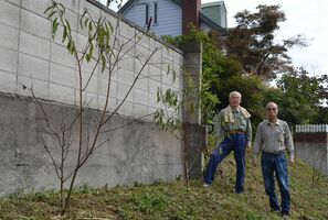 公園でアーモンド初収穫 植樹２年 販売の夢膨らむ 足利 県内主要 地域の話題 下野新聞 Soon ニュース 下野新聞 Soon スーン